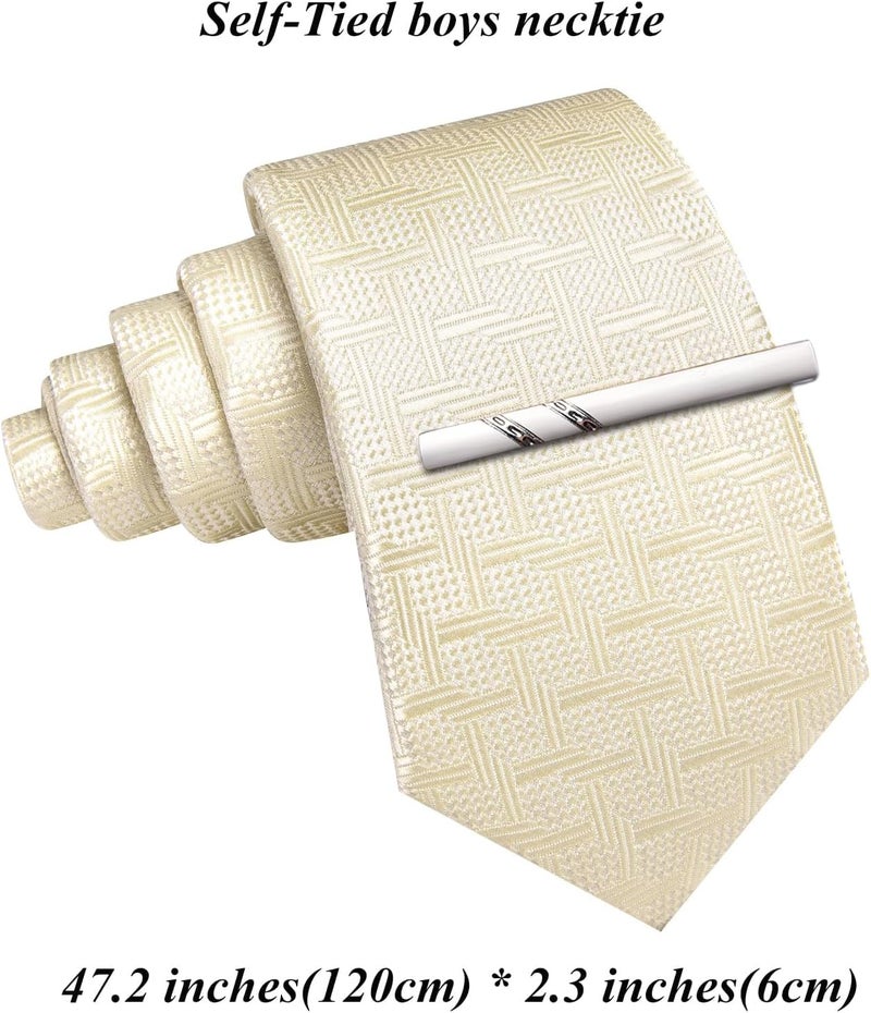 Barry.Wang Store Boys Ties School Pre-Tied Kids Necktie Handkerchief Clip Set Uniforms Child Ties for 8-14 Years Wedding Party - Image 2
